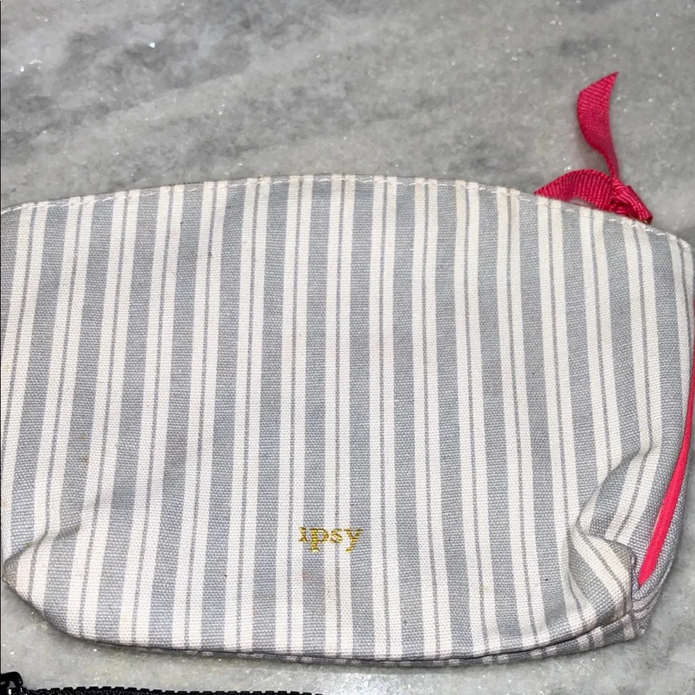 Ipsy 6pc 2019 Bags